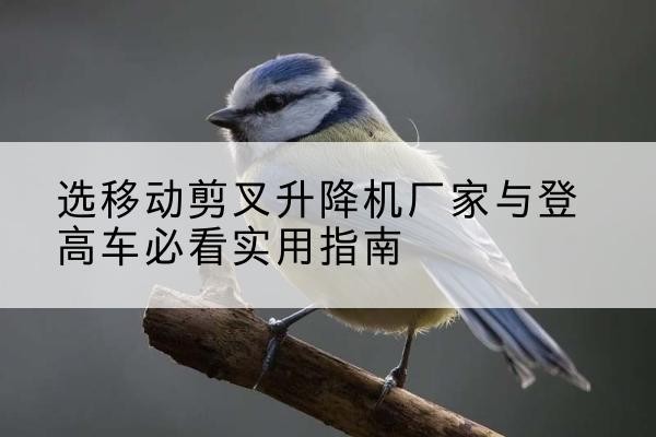 平谷区电动升降机厂家-选移动剪叉升降机厂家与登高车必看实用指南
