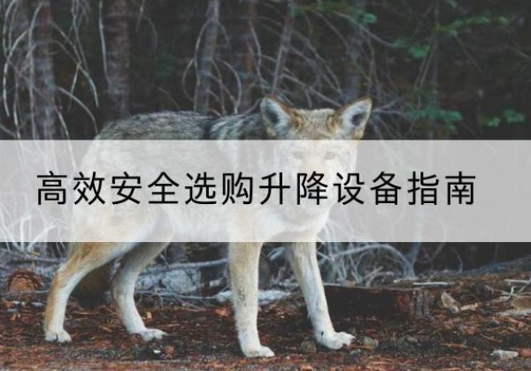 平谷区升降货梯厂家推荐-*安全选购升降设备指南